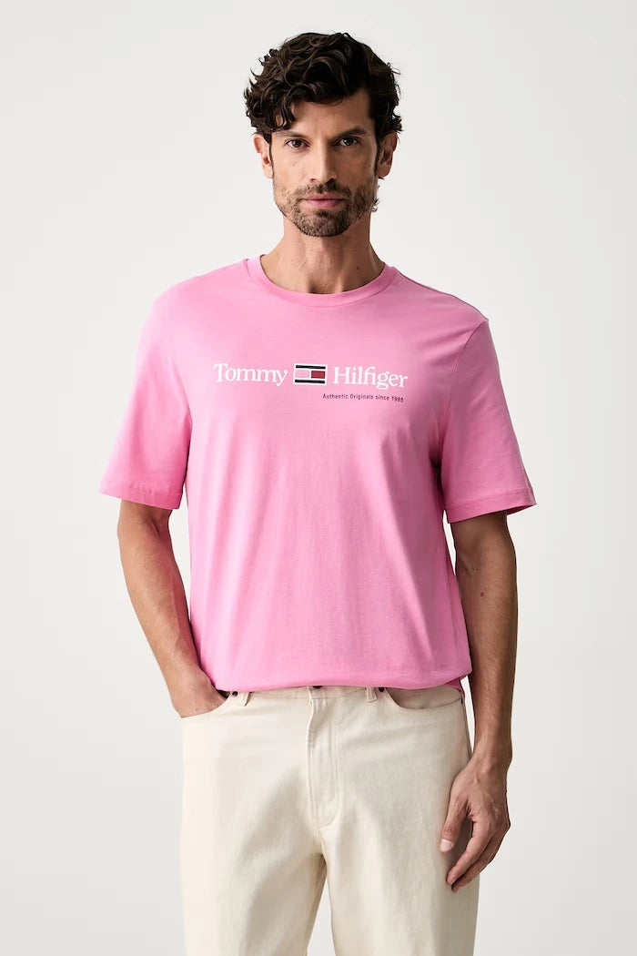 Tommy Hilfiger pamuklu erkek tişört
