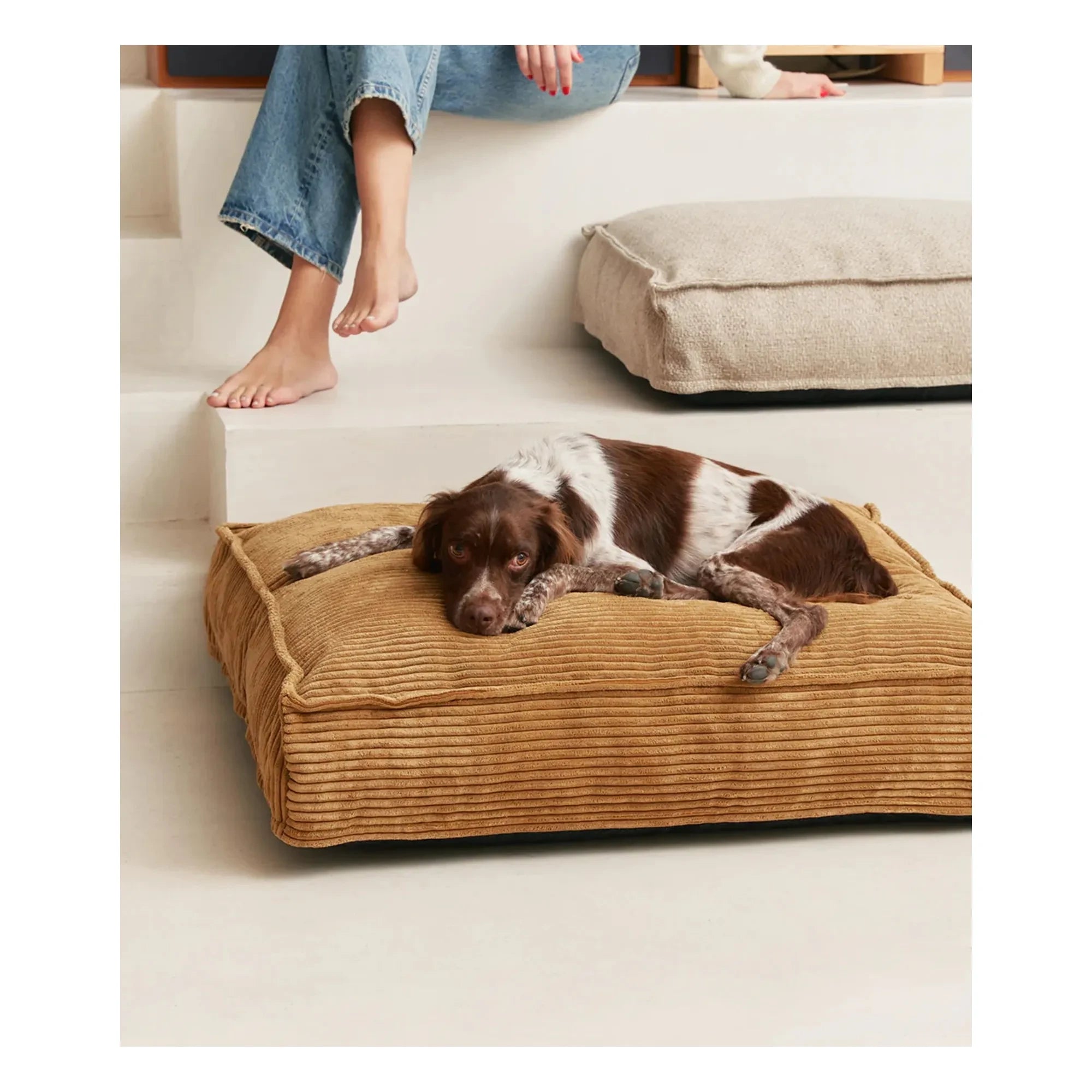 Cafide - Cuadra corduroy dog mattress | Mustard