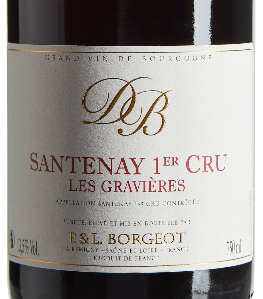 Santenay Premier Cru Les Gravières Pinot Noir 2021 (75cl) – Burgundy, France