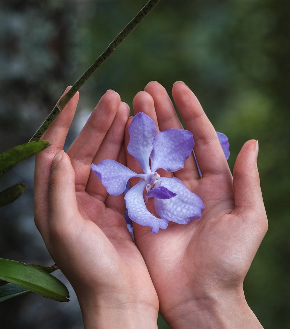 Orchidée Impériale The Longevity Cream (50ml)
