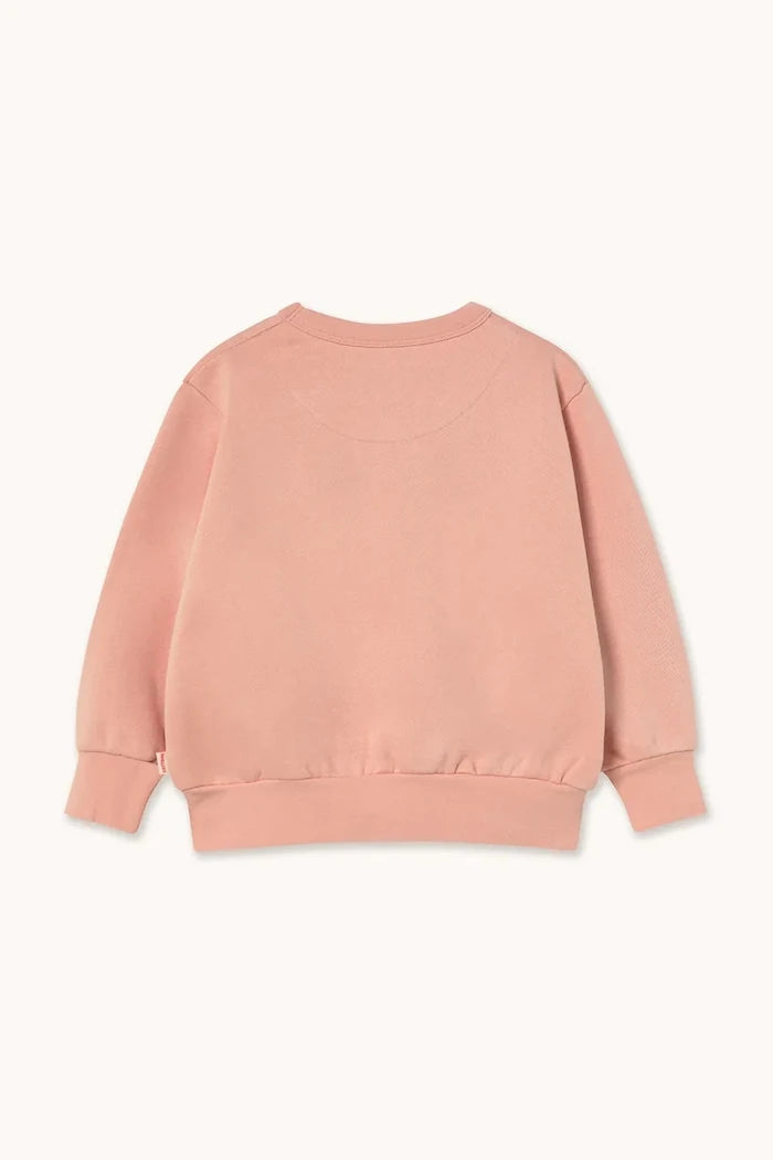 Детски памучен суичър Tinycottons WALK GRAPHIC SWEATSHIRT