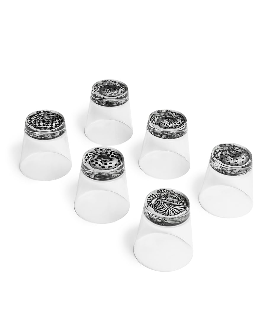 Set of 6 High Fidelity Tumblers