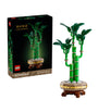 Botanical Collection Lucky Bamboo 10344