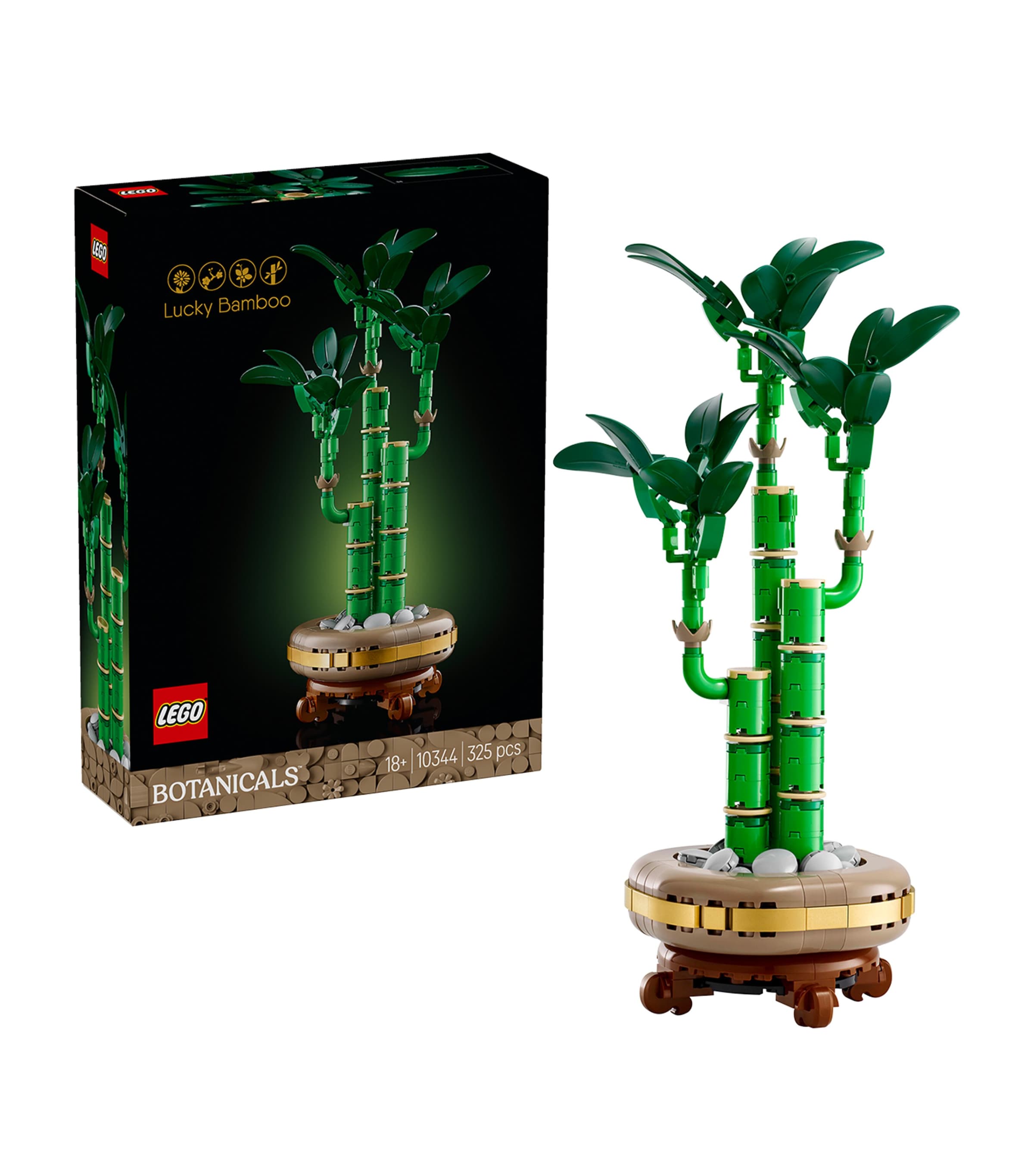 Botanical Collection Lucky Bamboo 10344