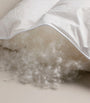 SAVOIR King Siberian Goose Down Duvet (4.5 Tog)