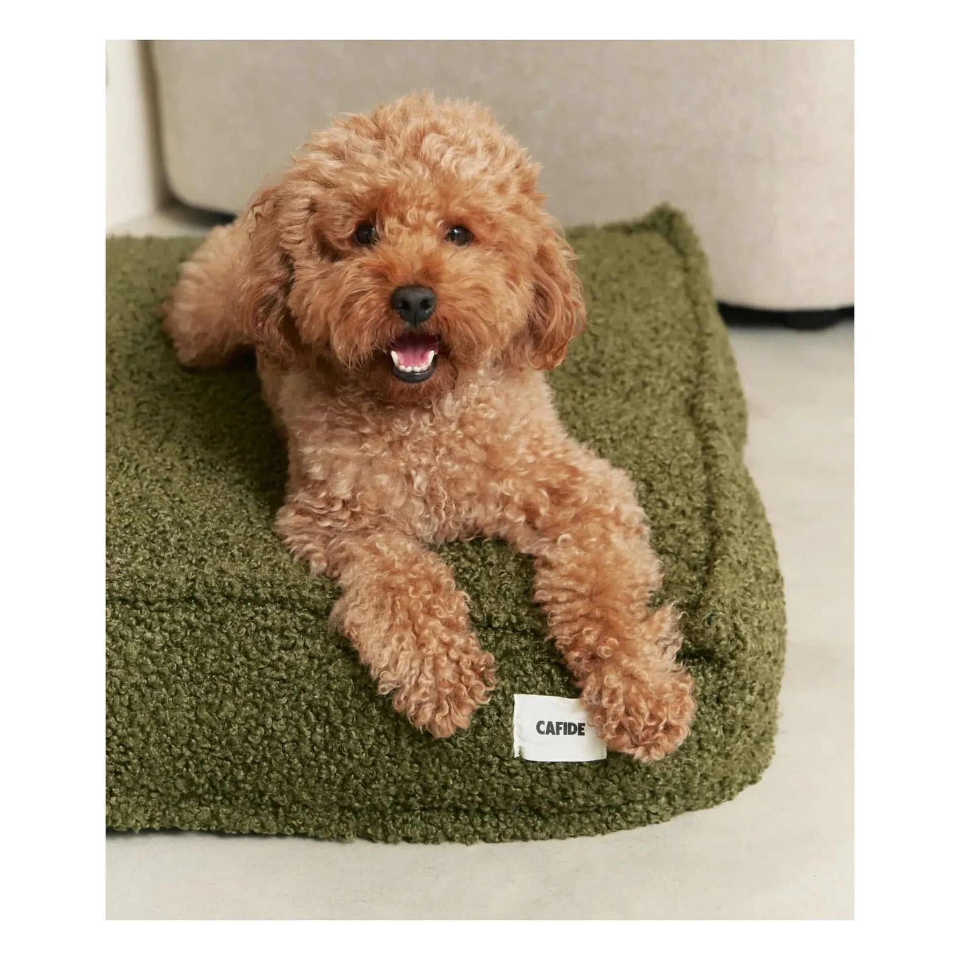 Cafide - Cuadra Buckwheat Dog Mattress | Green