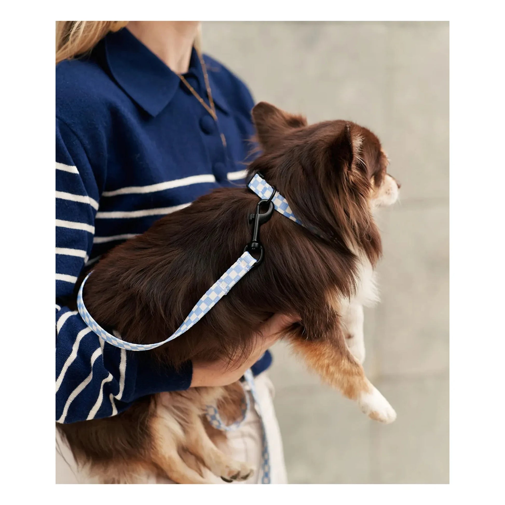 Cafide - Juno dog leash | Light blue