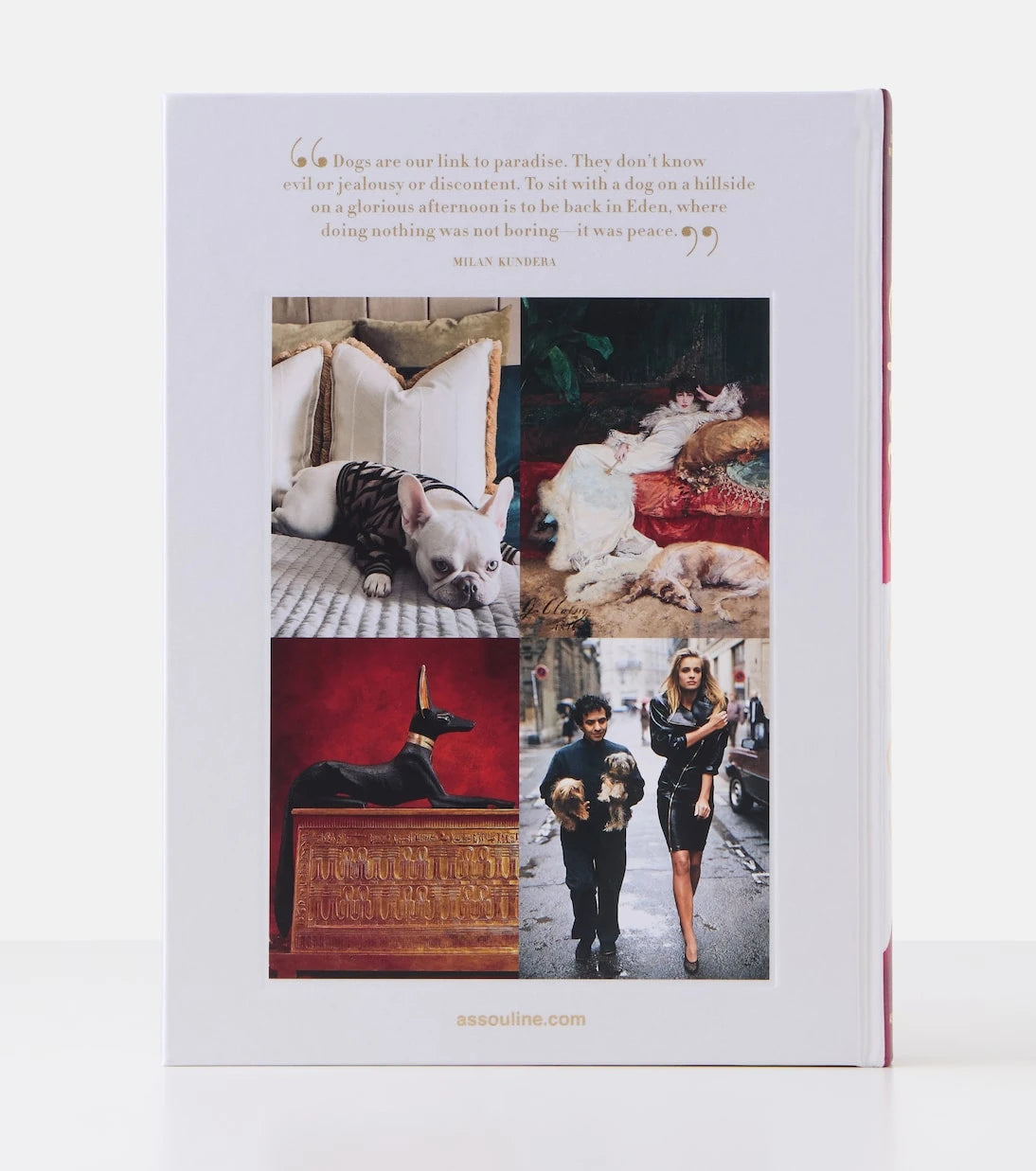 Assouline - Chic Dogs book