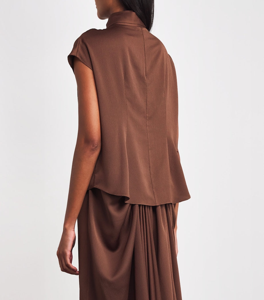 Edeline Lee Brown Charmeuse Tied Blouse