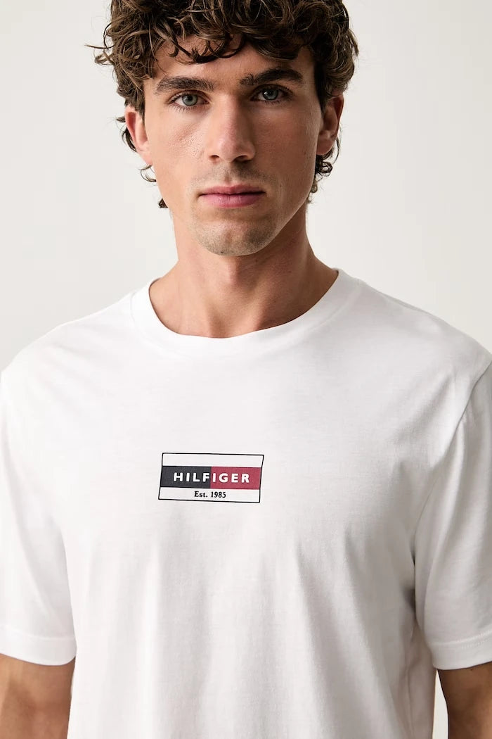 Tommy Hilfiger erkek pamuklu tişört