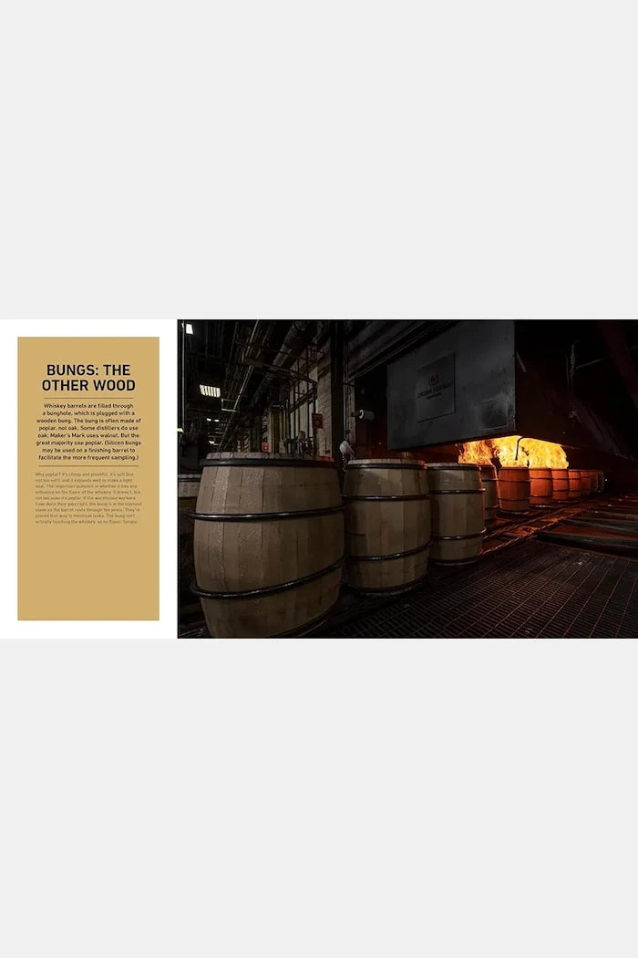 American Whiskey Master Class by Lew Bryson, English