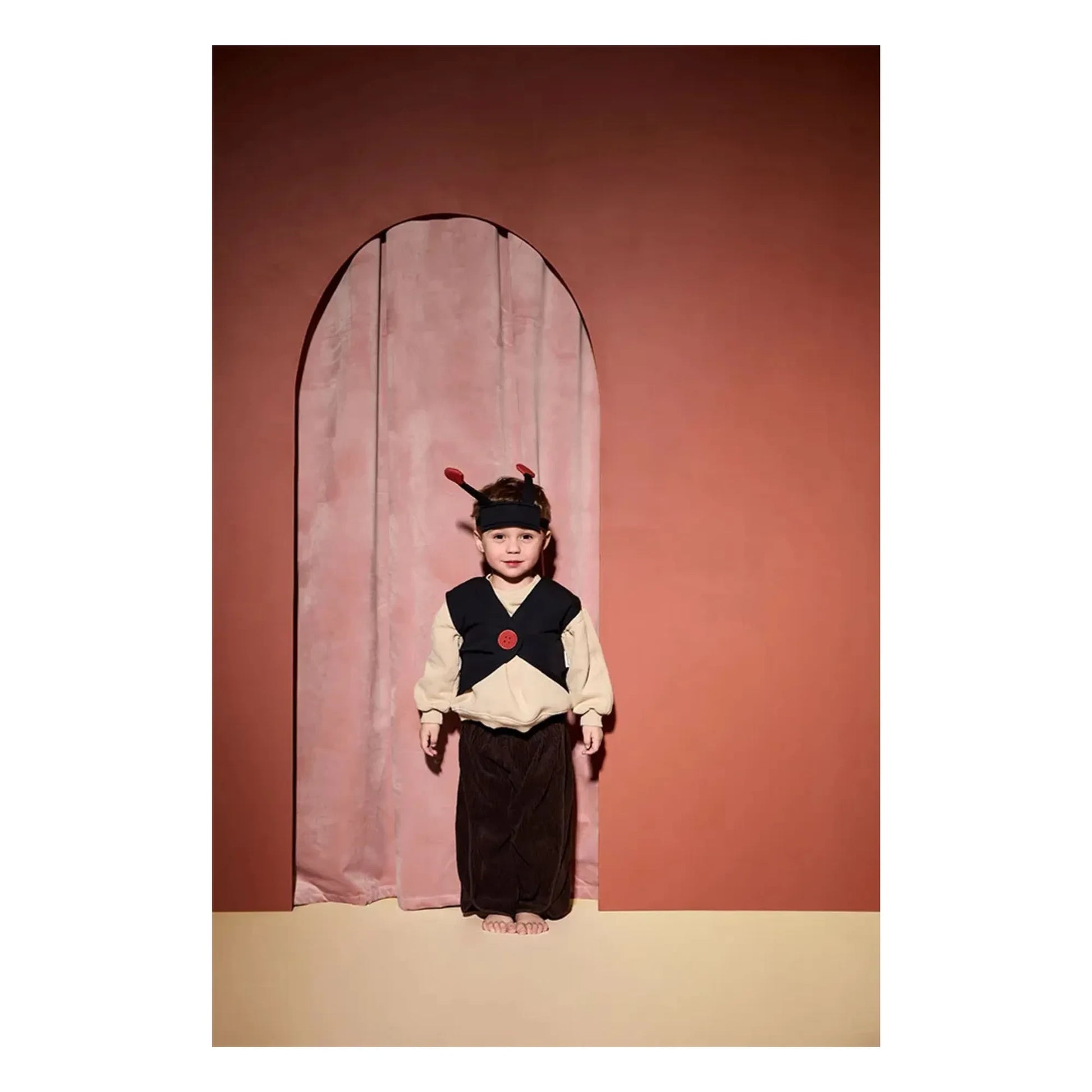 Kid's Concept - Ladybug disguise