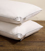 Belgravia Down-Filled Pillow (50cm x 75m)