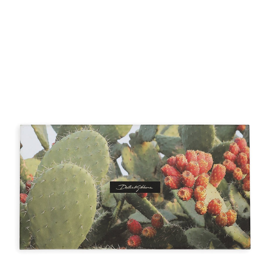 Dolce & Gabbana Casa Set of 5 Greeting Cards