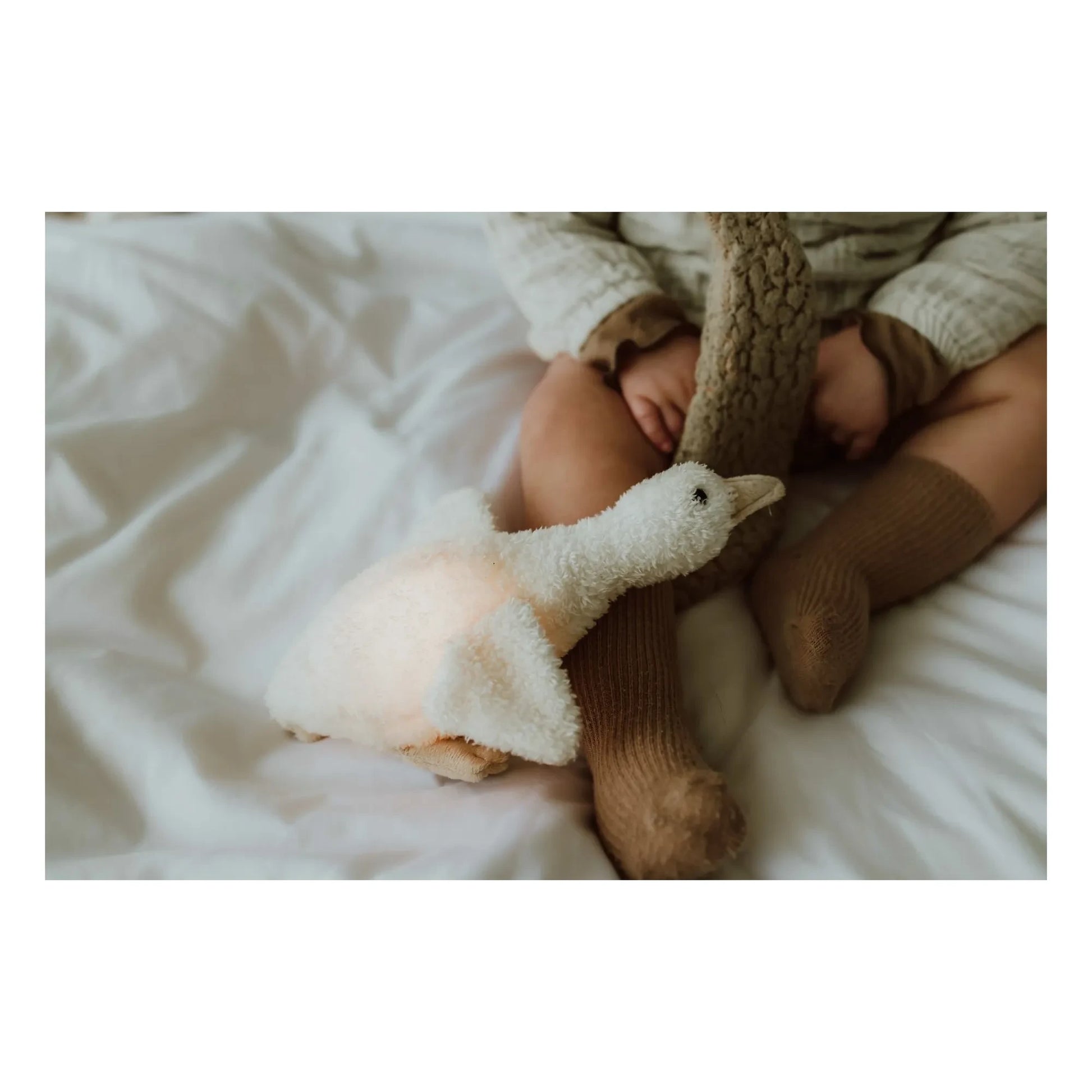 Flow - Liva nightlight plush | Ecru