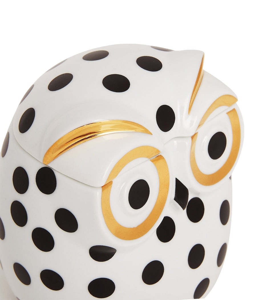 Civetta Impallinata Jar