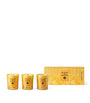 Holiday Candle Trio (3 x 70g)