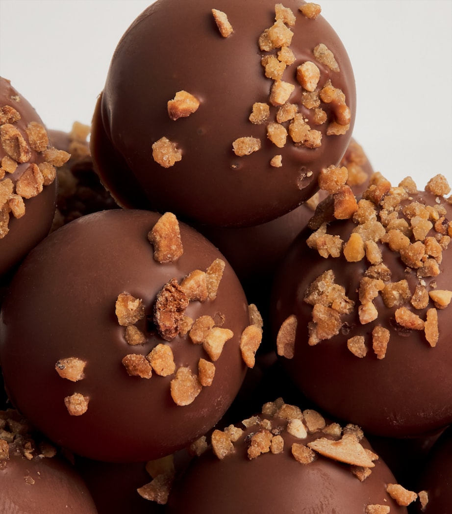 Hazelnut Praline 15-Piece Truffles (200g)