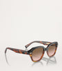 Brunello Cucinelli Brown Titanium BC4004S Sunglasses