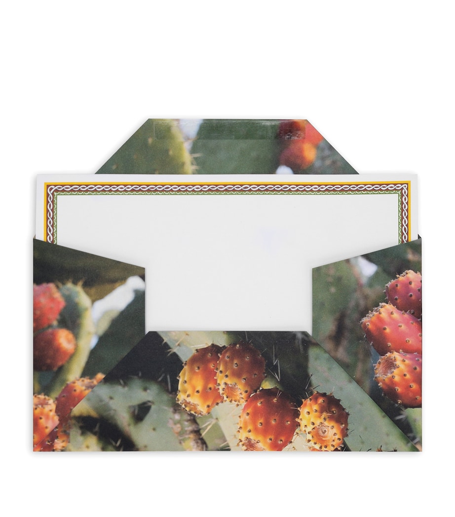 Dolce & Gabbana Casa Set of 5 Greeting Cards