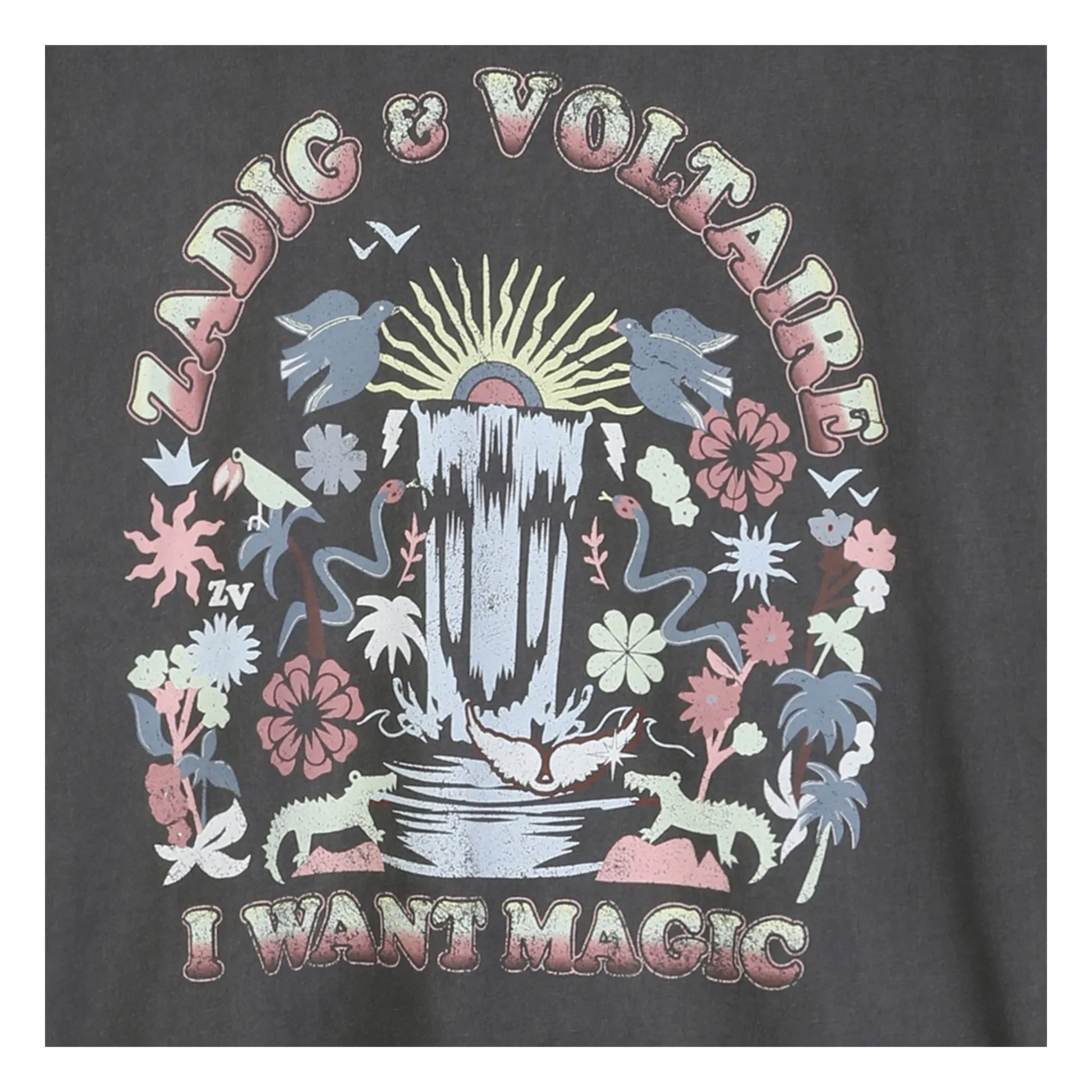 Zadig & Voltaire - Oversized T-shirt I Want Magic | Dark grey