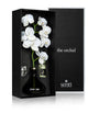 The Orchid Amber and Oud Diffuser (250ml)