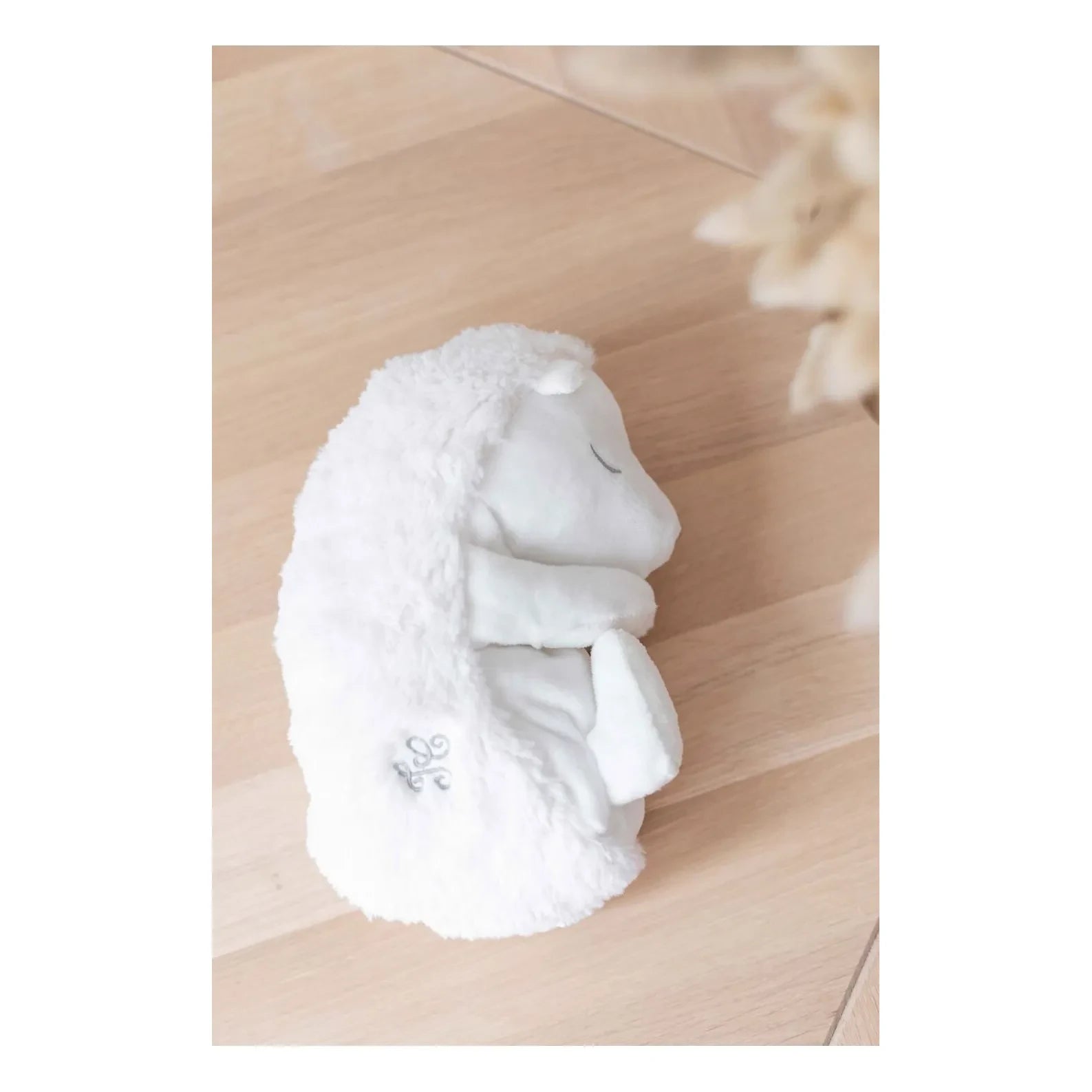 Tartine et Chocolat - Sleeping Hedgehog | Ecru