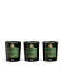 Harrods Set of 3 Scented Candles (3 x 65g)