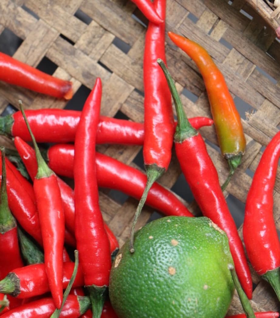 Citrus Batikanga Eau de Parfum (100ml)