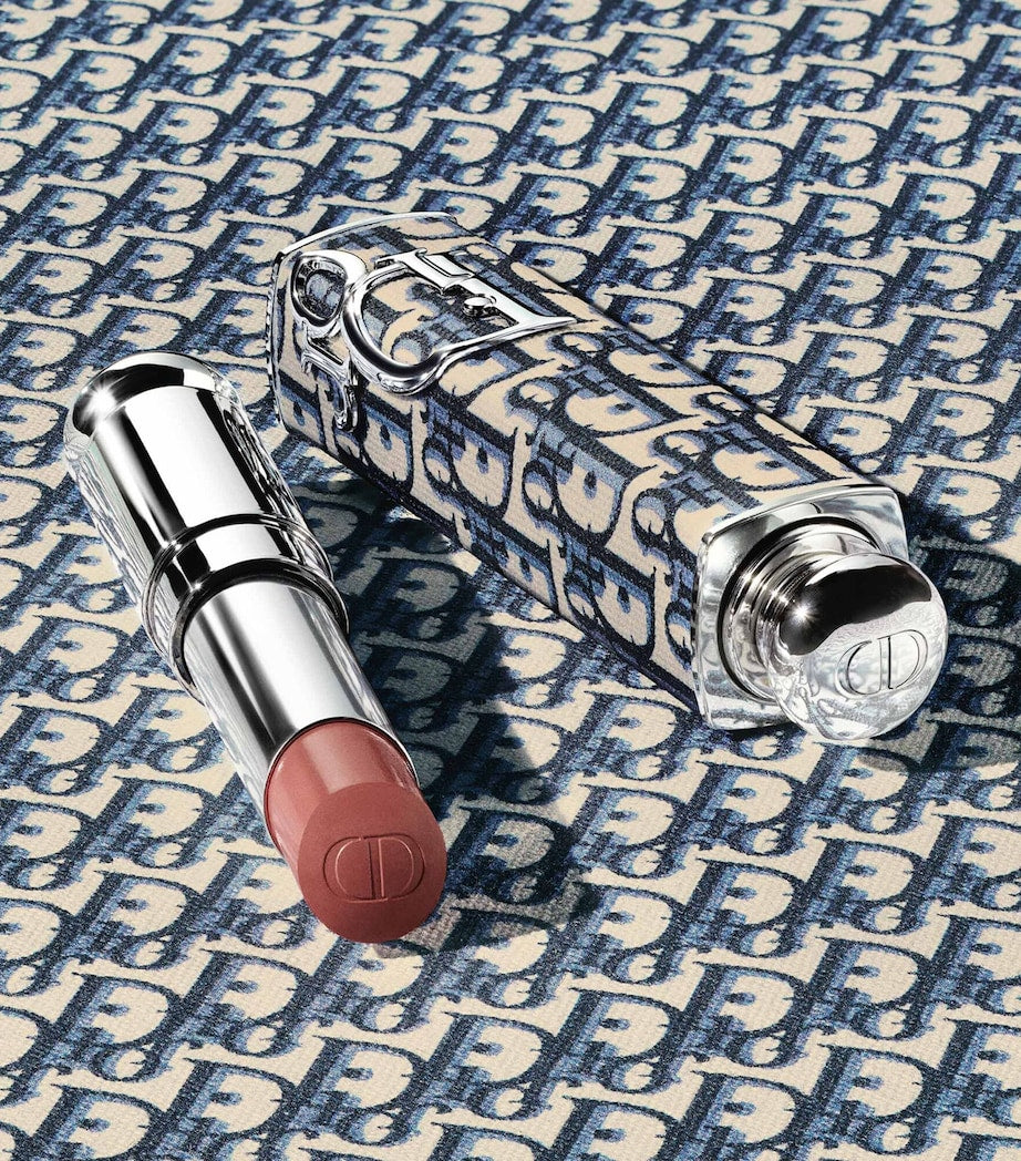 Dior Addict Shine Lipstick Case