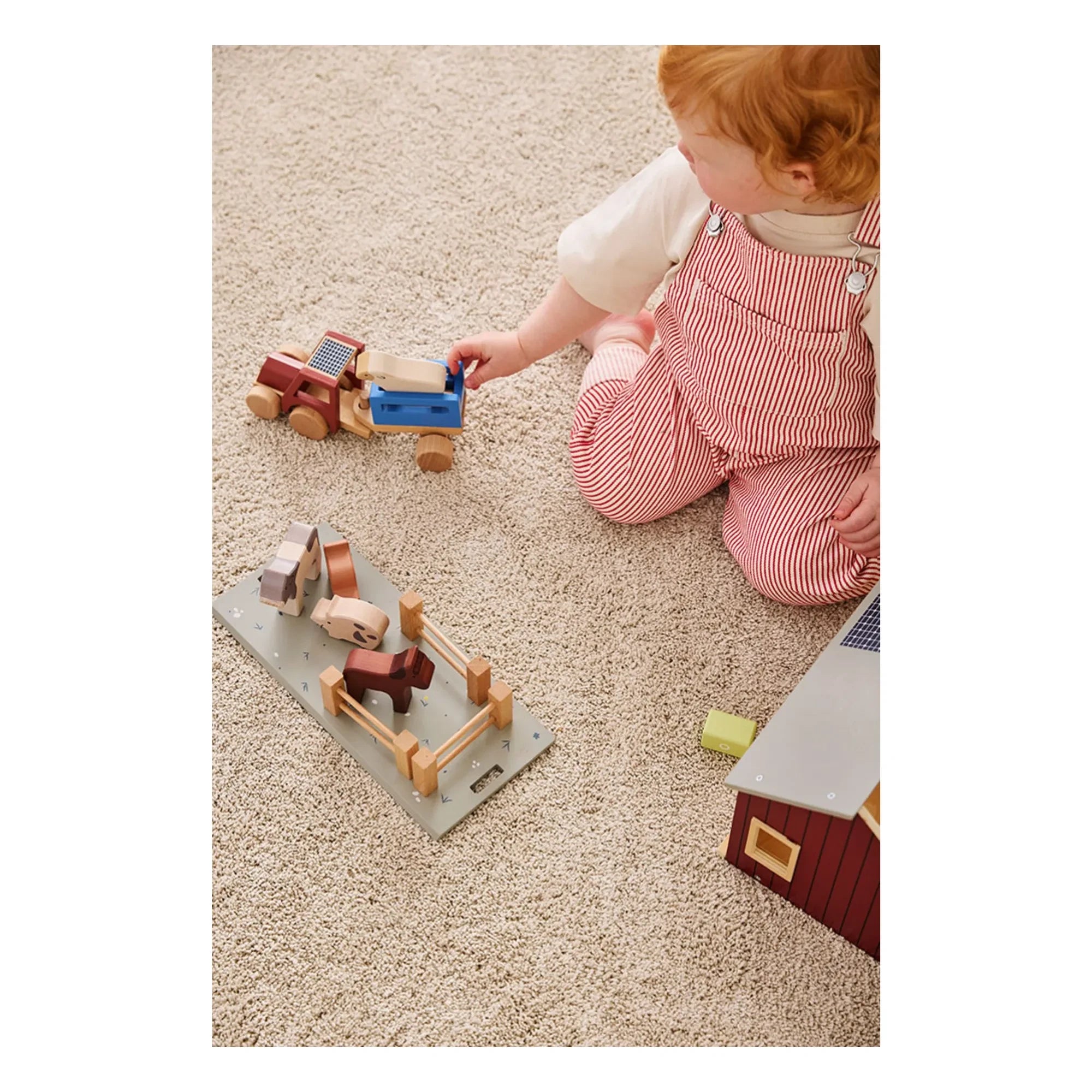 Kid's Concept - Farm animals