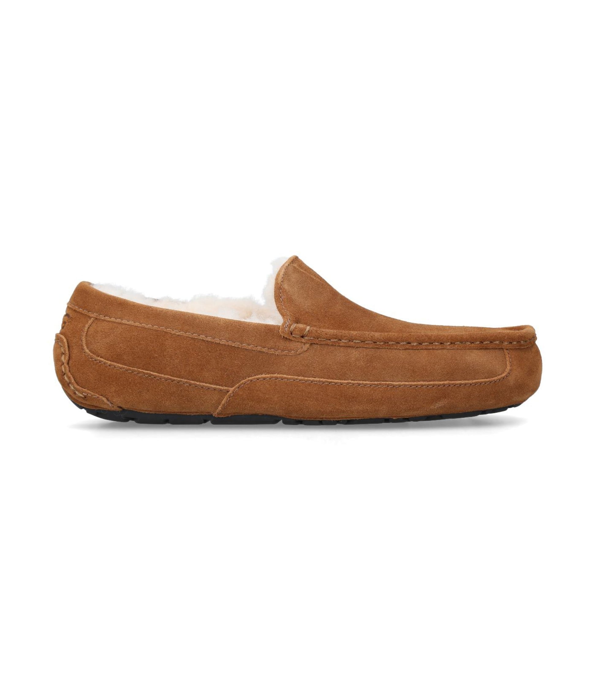 Suede Ascot Slippers