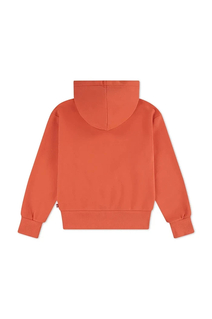 Levi's Çocuk Pamuklu Kapüşonlu LOGO HOODIE
