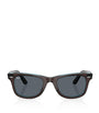 Brown Acetate Wayfarer Sunglasses