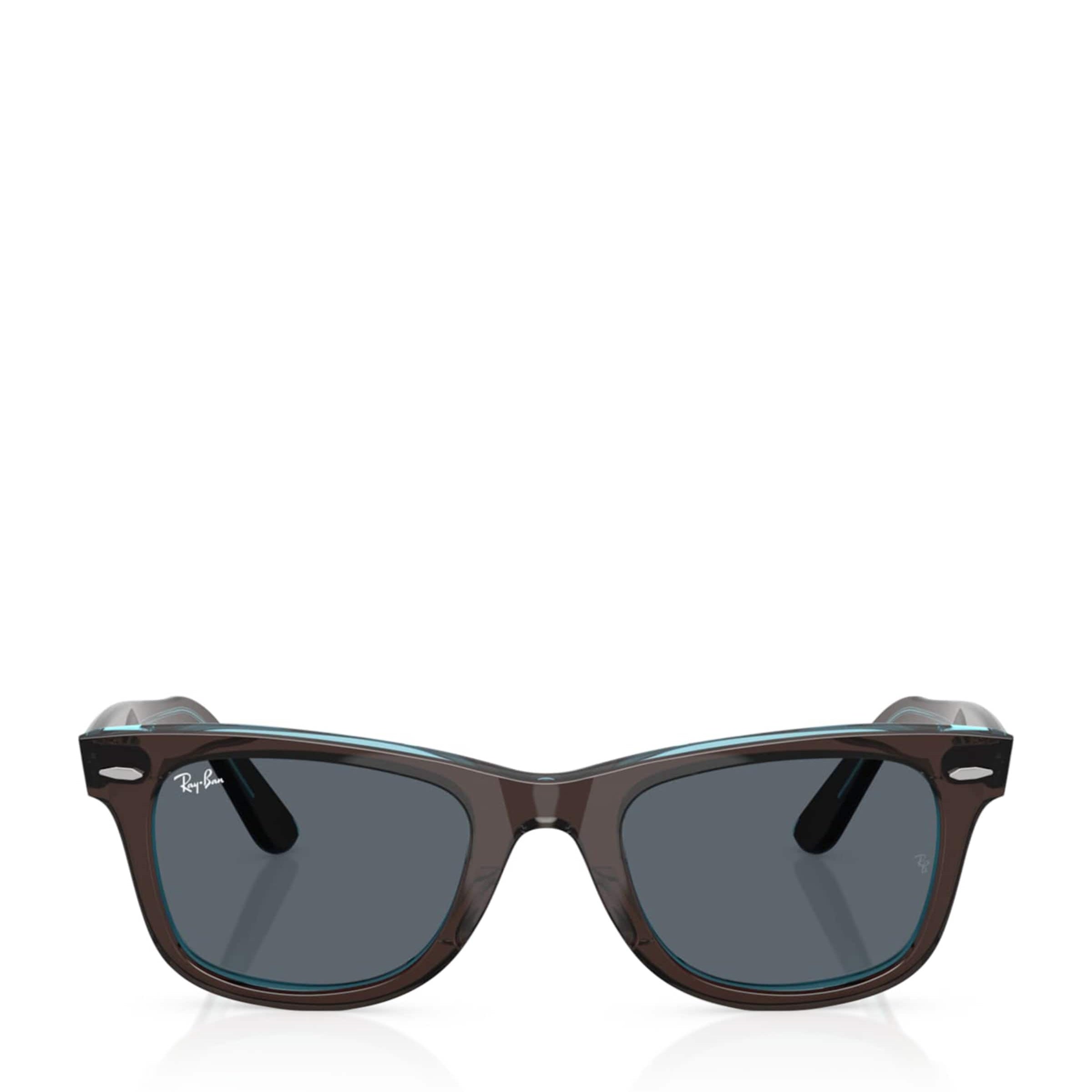 Brown Acetate Wayfarer Sunglasses