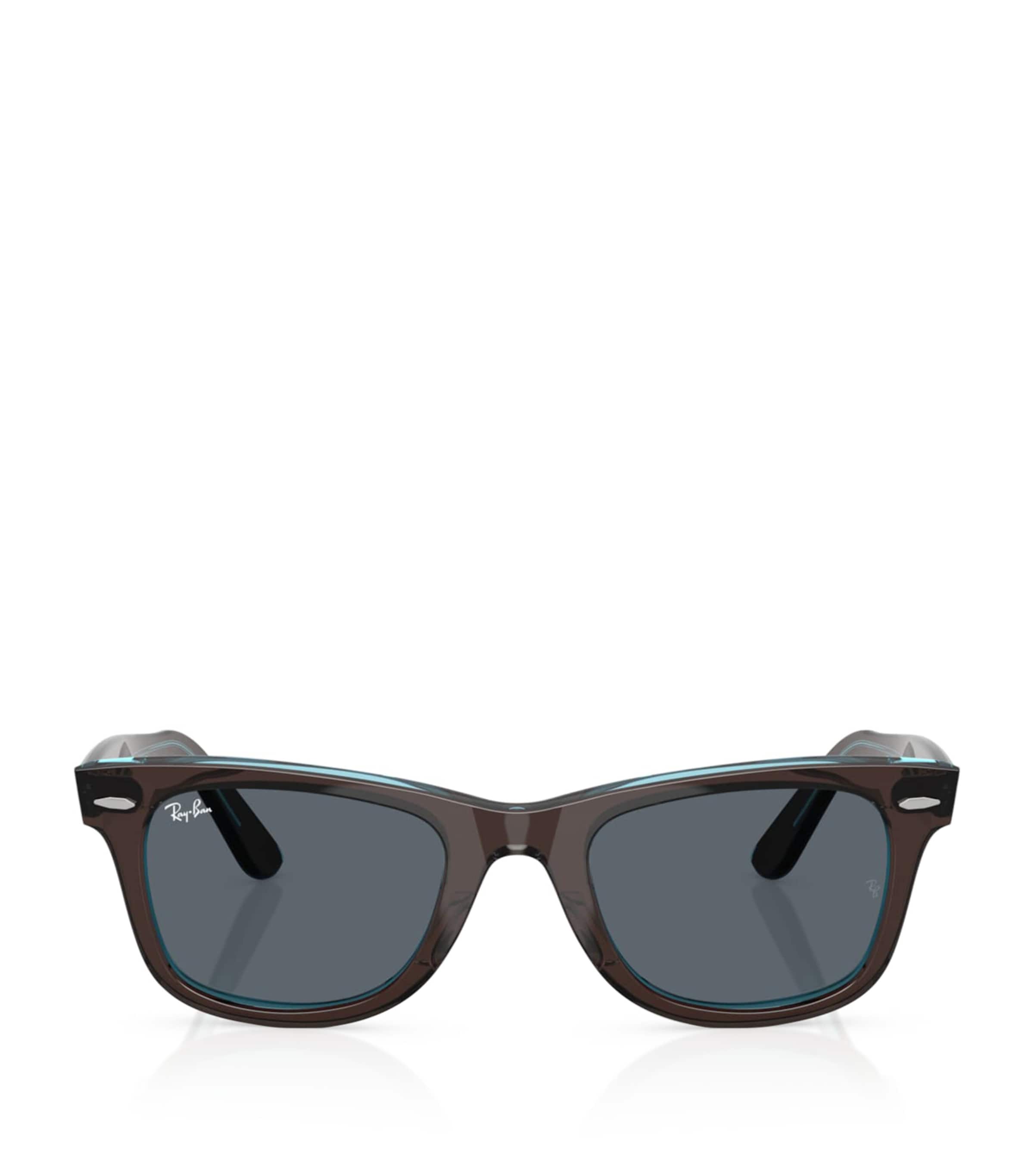 Brown Acetate Wayfarer Sunglasses