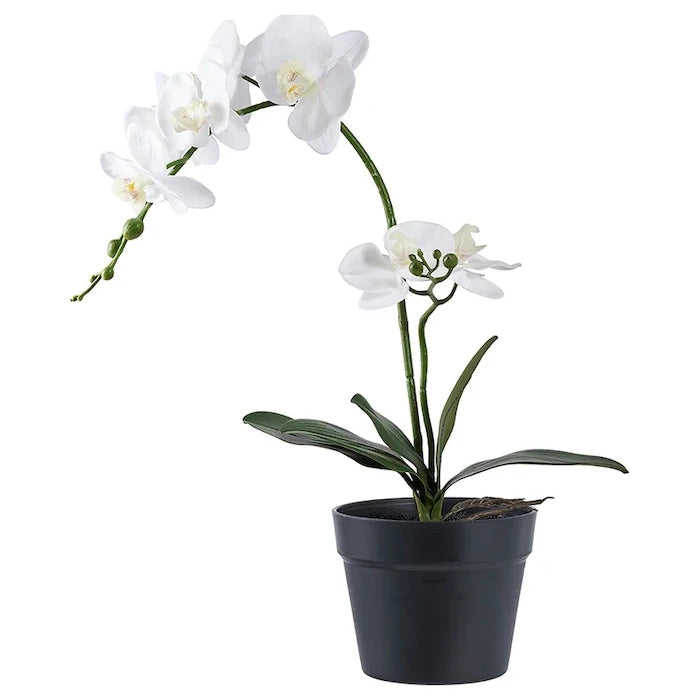 House Nordic Orchid Yapay Saksı Bitkisi