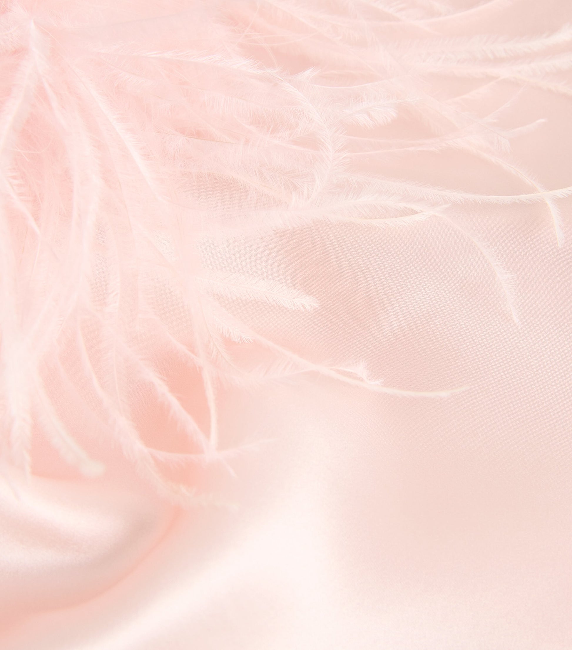 Gilda & Pearl Pink Silk-Ostrich Feather Slip Dress