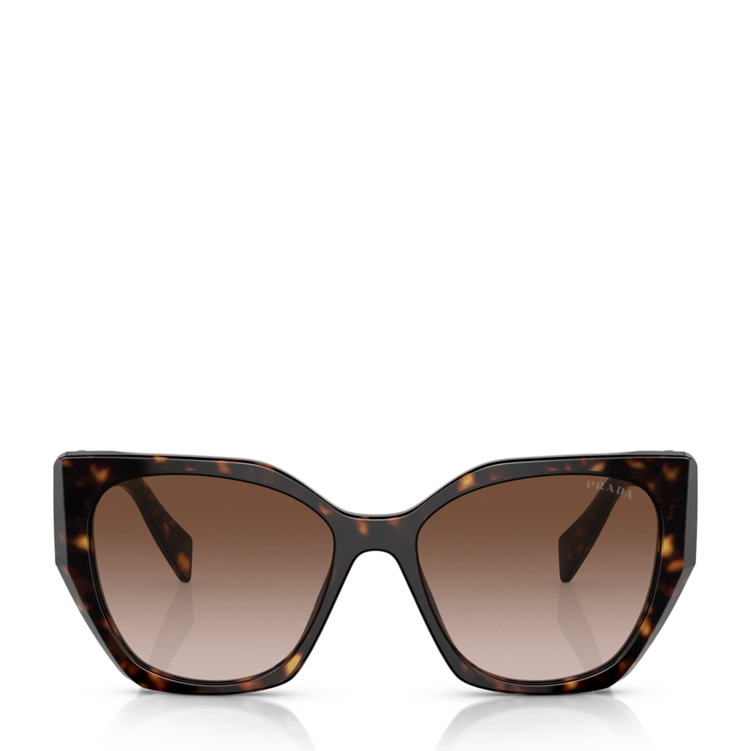 Brown Acetate PR 19ZS Sunglasses