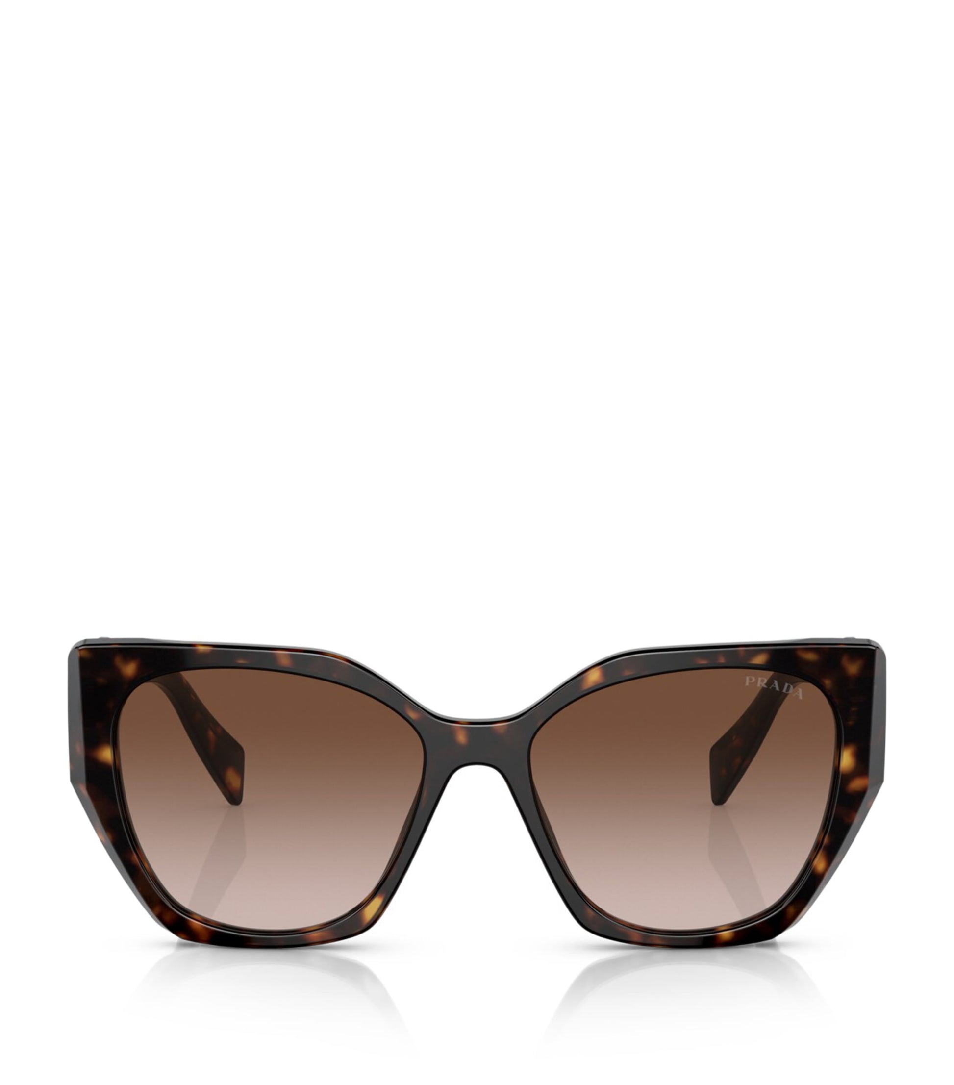 Brown Acetate PR 19ZS Sunglasses