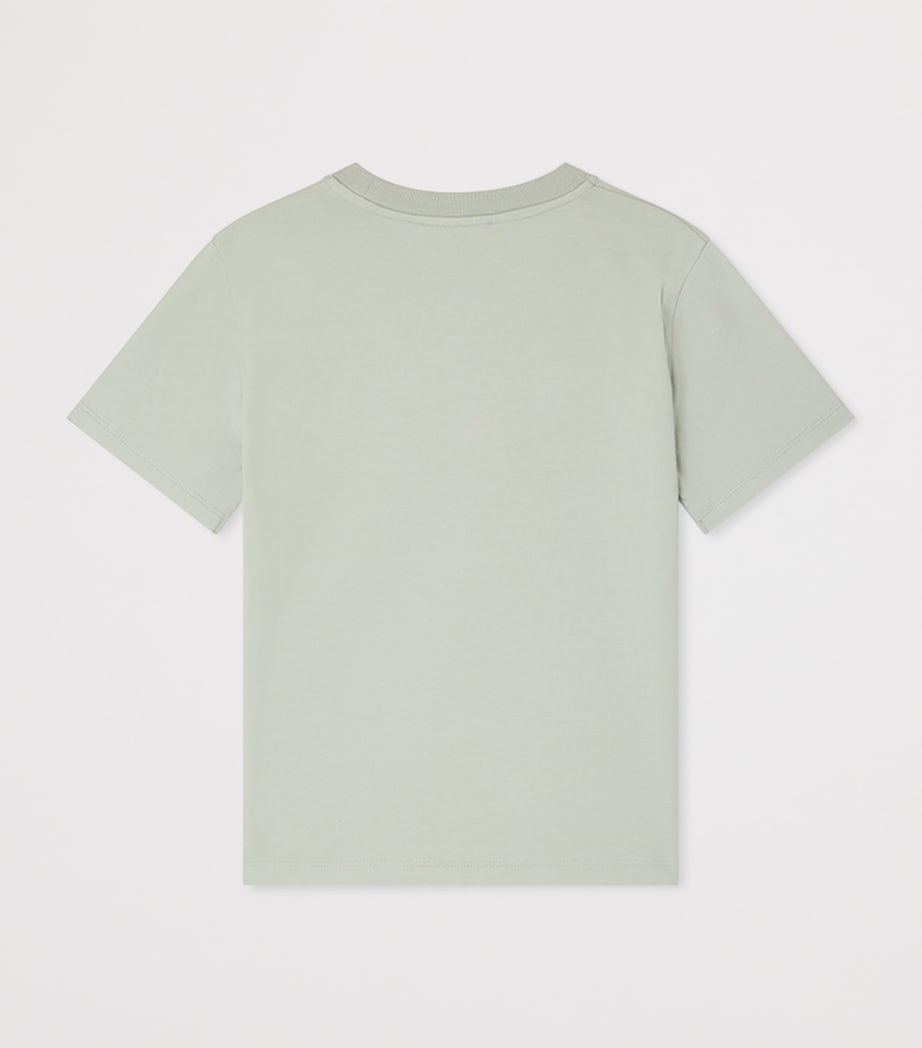 Organic Cotton Landis T-Shirt (4-8 Years)
