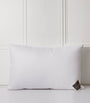 Firm Down Around Pillow (50cm x 75cm)