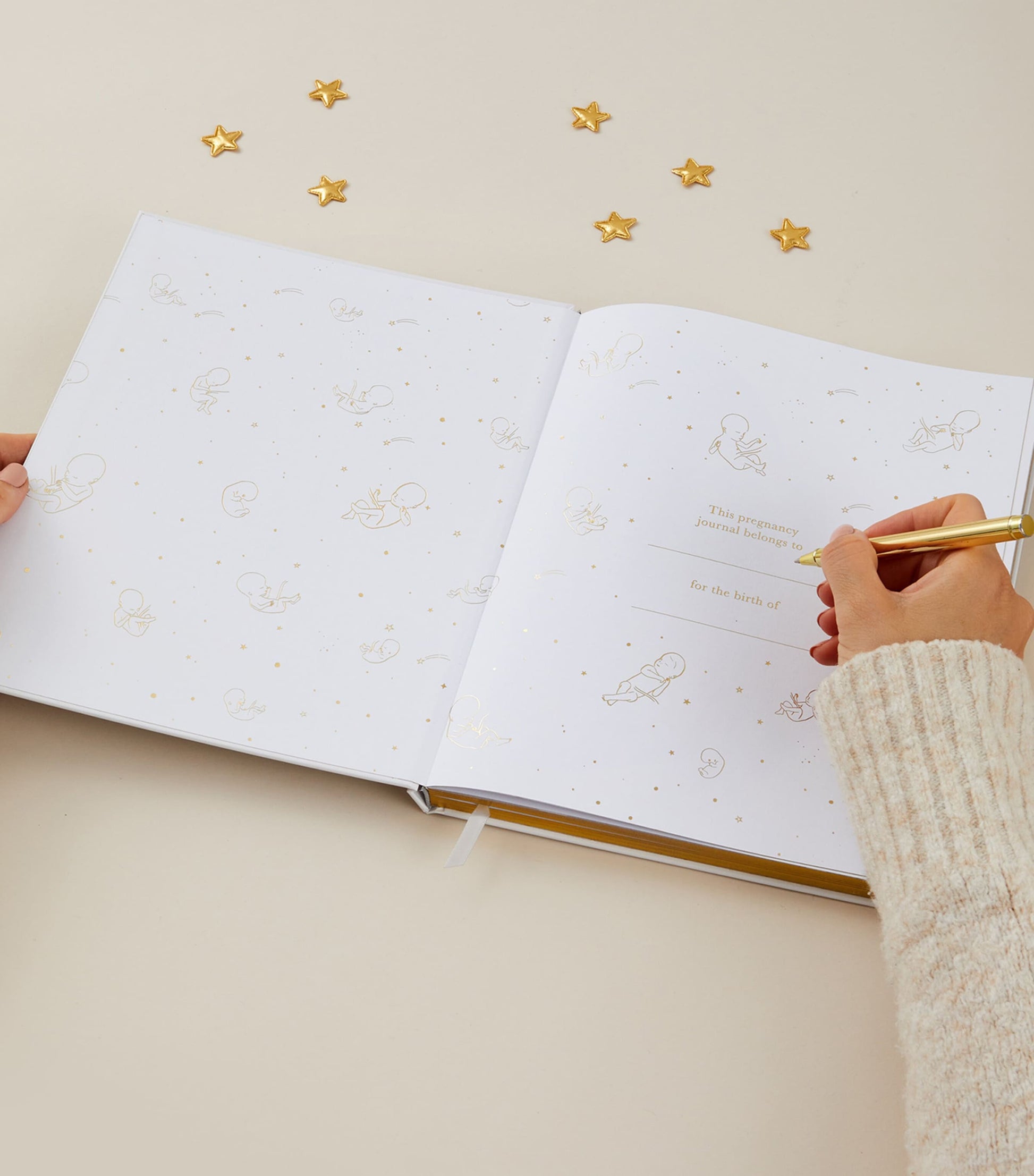 Blush and Gold My Pregnancy Journal