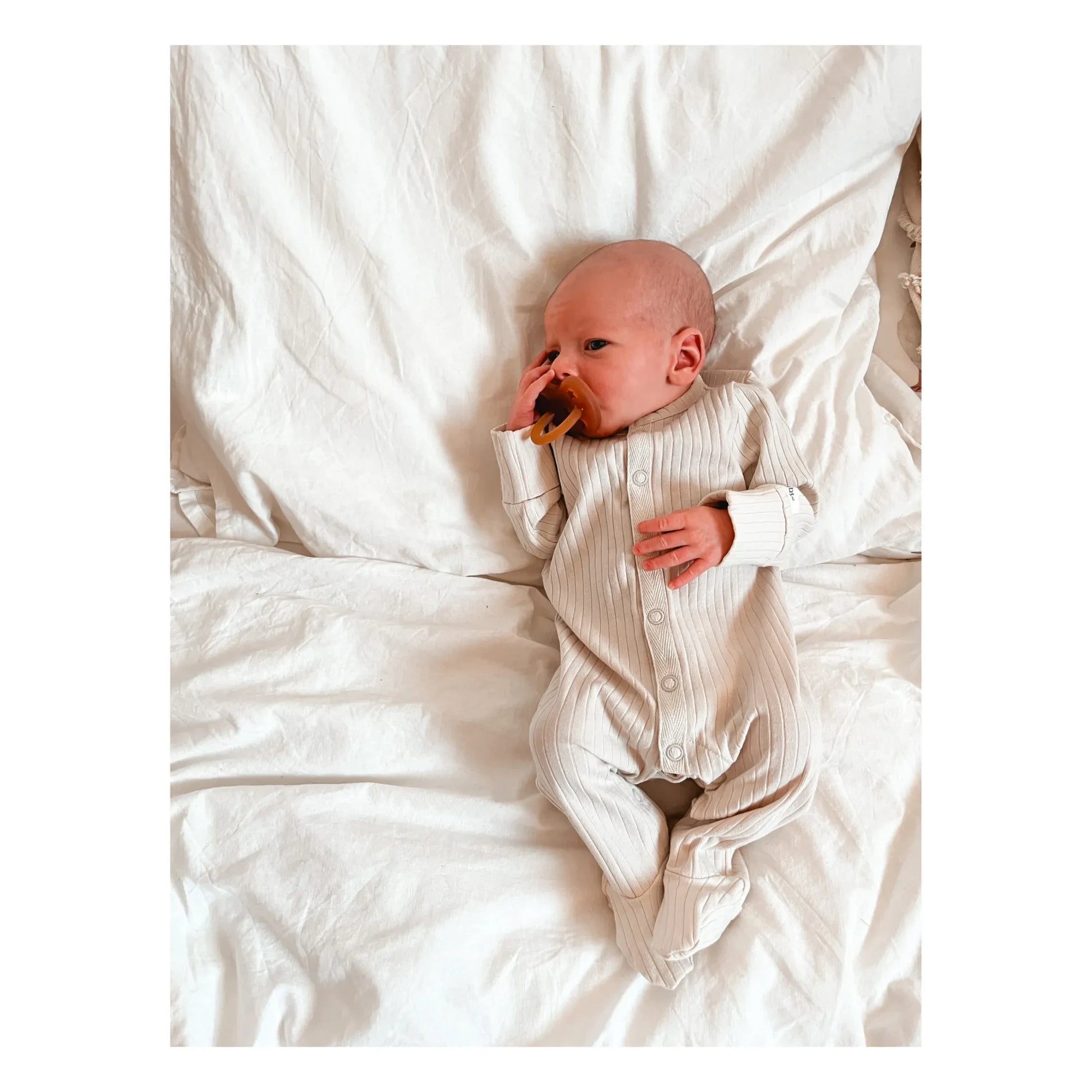 Hevea - Set of 3 Pacifiers Discovery Pack