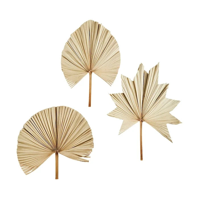 Madam Stoltz Palm Leaves 60-70 cm Duvar Dekorasyonu (3 Parça)