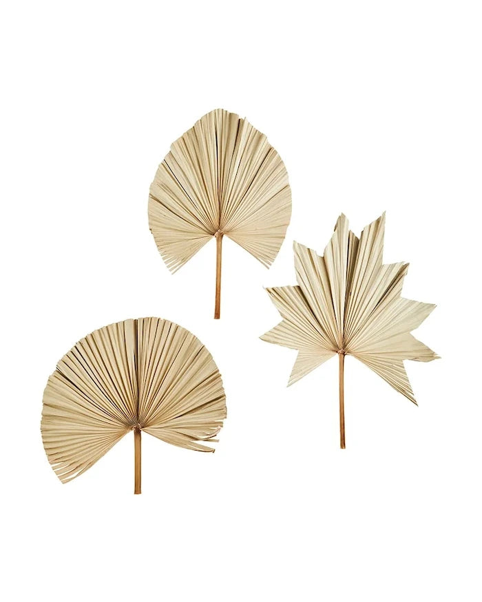 Madam Stoltz Palm Leaves 60-70 cm Duvar Dekorasyonu (3 Parça)