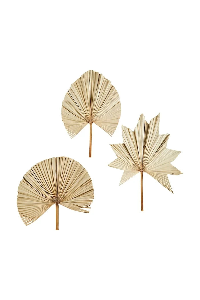 Madam Stoltz Palm Leaves 60-70 cm Duvar Dekorasyonu (3 Parça)