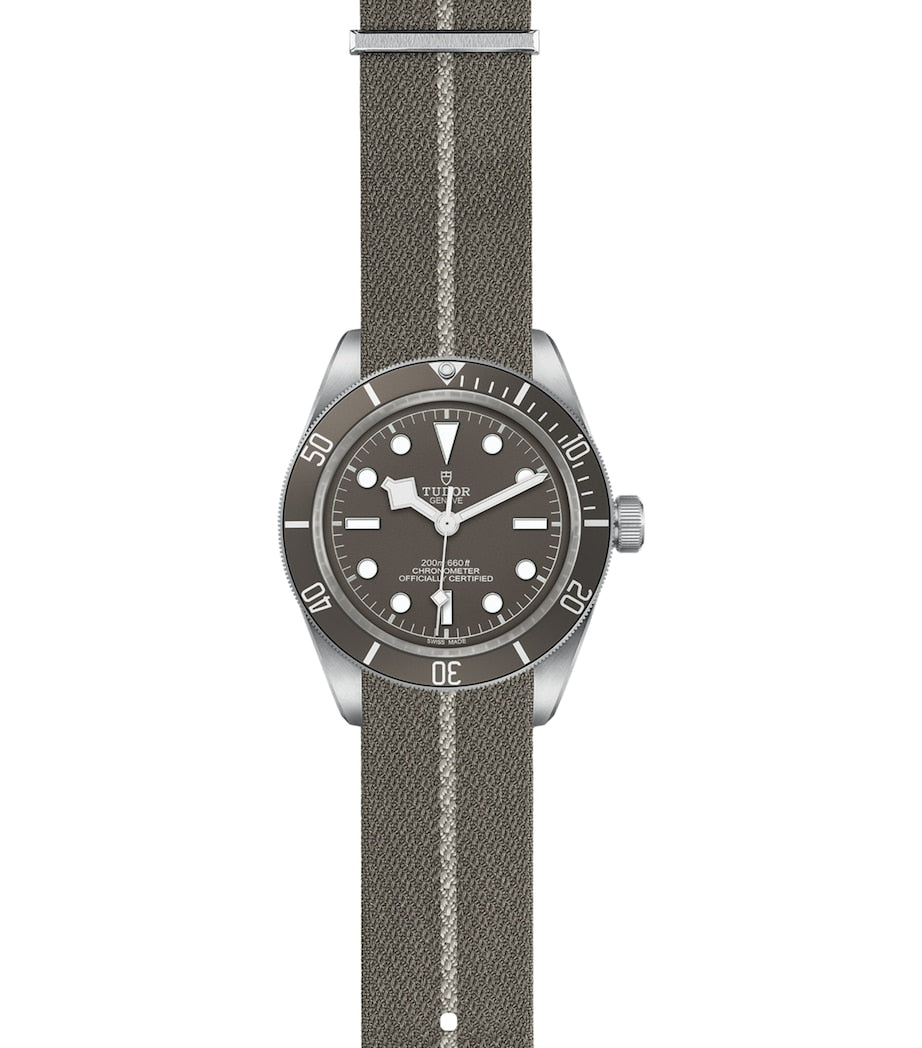 TUDOR Black Bay Fifty-Eight Silver Watch 39mm