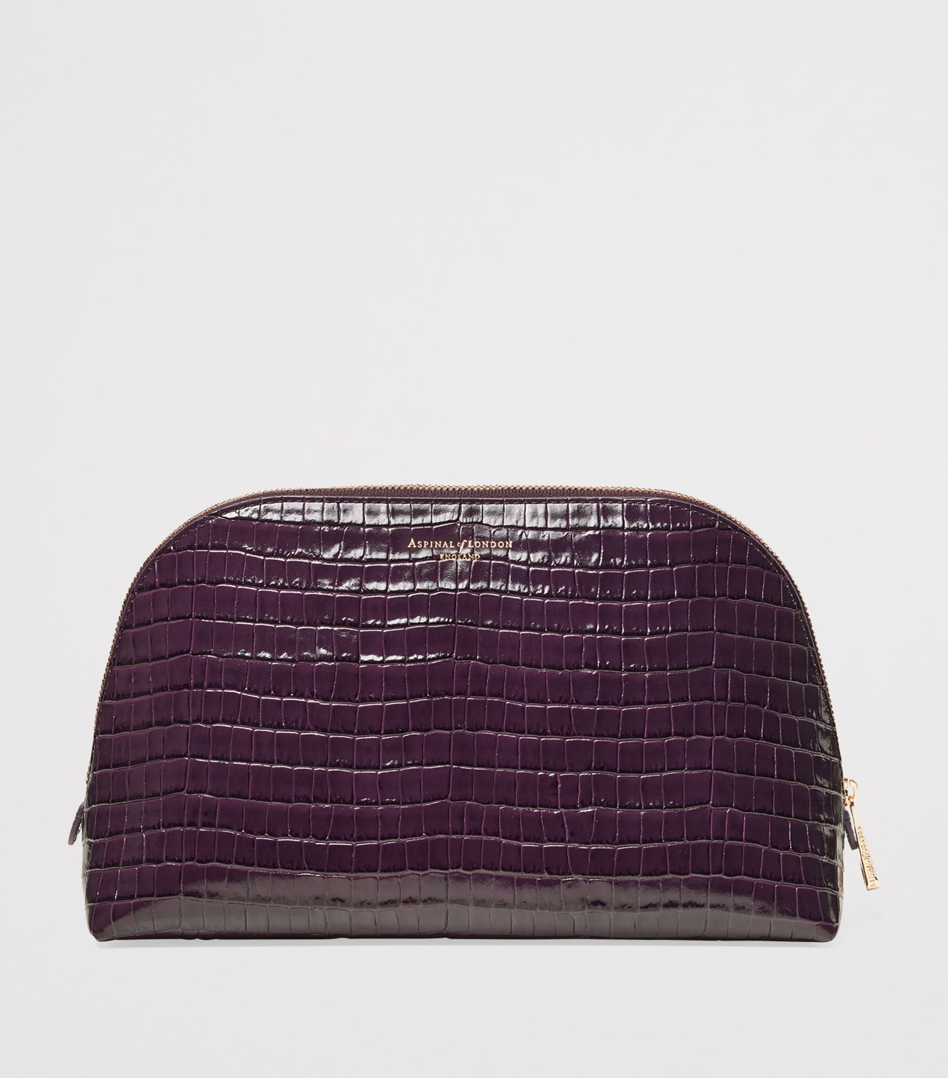 Large Leather Croc-Embossed Cosmetic Case