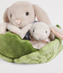 Harrods Plush Bunny Family in Cabbage (23cm)
